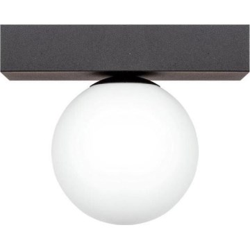 Zuma Line - Ceiling light 1xG9/8W/230V black