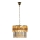 Zuma Line - Chandelier on a chain 8xE14/40W/230V d. 40 cm gold