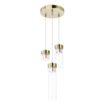 Zuma Line - Crystal chandelier on a string 3xG9/28W/230V brass