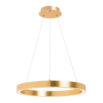 Zuma Line - LED Chandelier on a string 1xLED/30W/230V 40 cm golden