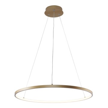 Zuma Line - LED Chandelier on a string LED/28W/230V 3000/4000/6000K d. 60 cm gold