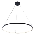 Zuma Line - LED Chandelier on a string LED/36W/230V 3000/4000/6000K d. 80 cm black