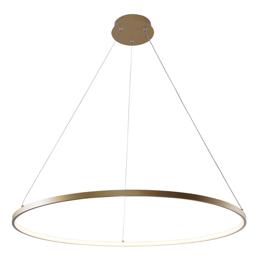 Zuma Line - LED Chandelier on a string LED/36W/230V 3000/4000/6000K d. 80 cm gold