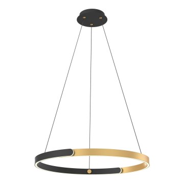 Zuma Line - LED Dimmable chandelier on a string LED/30W/230V black/gold