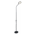 Zuma Line - LED Dimmable floor lamp LED/10W/230V 3000/4500/6500K black