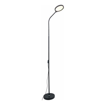 Zuma Line - LED Dimmable floor lamp LED/10W/230V 3000/4500/6500K black